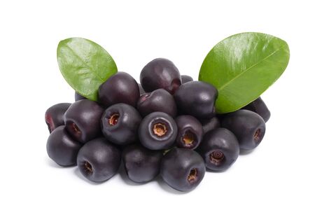 Jambolan plum or jambul or Jamun fruit, Java plum (Syzygium cumini) isolated on white background with clipping path.の写真素材