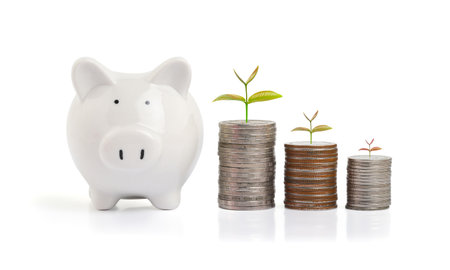 business finance and saving money concept, plant growing up on coin, Money coin stack growing graph with piggy bank saving concept.の写真素材
