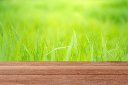 Wood table top on on blurred greenery background in garden, Can be used for display or montage your products.の写真素材
