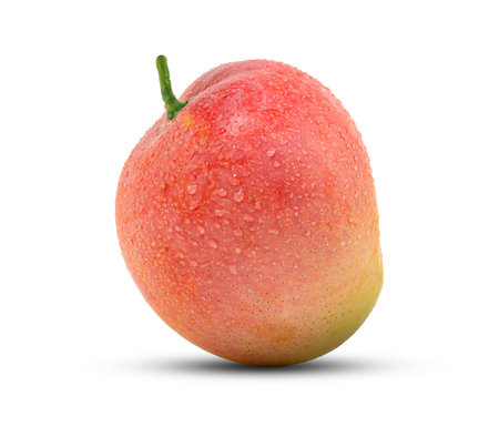 Mango fruit isolated on white backgroundの写真素材