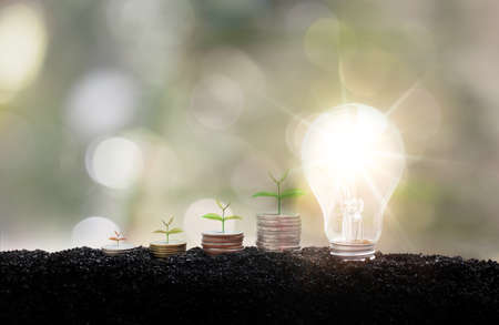A tree growing up on coin and lightbulb on a blurred green natural background. Alternative energy, Renewable Energy, saving energy and finance, energy stock investment.の写真素材