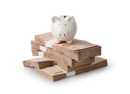 Piggybank and money tower on white background.の写真素材