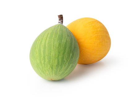Willughbeia edulis Roxb on white background with Clipping Path.の写真素材