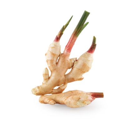 Fresh ginger rhizome with sliced isolated on white background with clipping path, young ginger.の写真素材