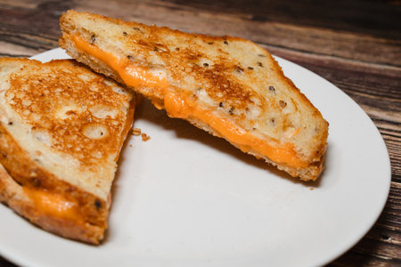 Toasted grilled cheese sandwich on white plate.の写真素材