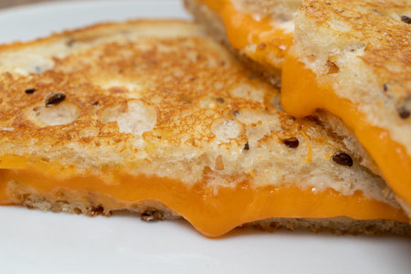 Grilled cheese sandwich close up.の写真素材