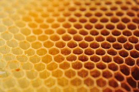 close view of bee wax clay good for background