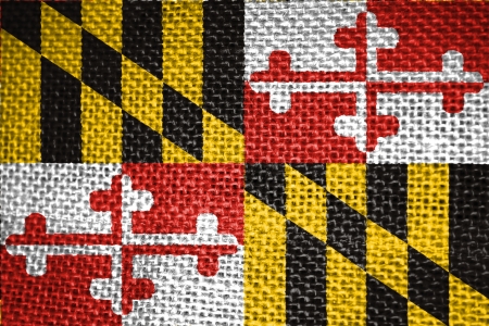 Very large illustration of maryland usa state flagの写真素材