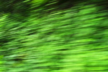 speed nature abstract green background forest treesの写真素材