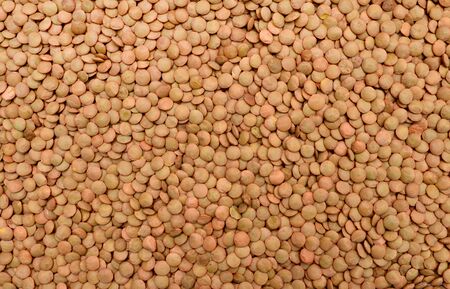 green lentil plant dry seeds texture patternの写真素材
