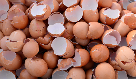 Many broken egg shells texture