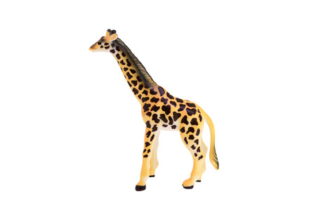 Plastic toy giraffe isolated over whiteの写真素材