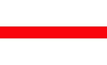 Thin red line flag Registered Nurses symbolの写真素材