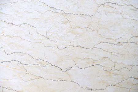 fossil limestone rock slab texture natural backgroundの写真素材