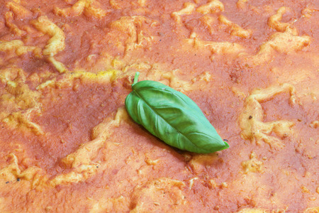 pizza with basilの写真素材