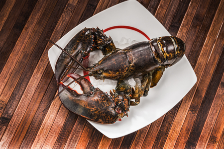 lobster on a white plateの写真素材