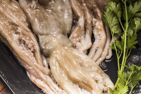 raw and freshness octopusの写真素材