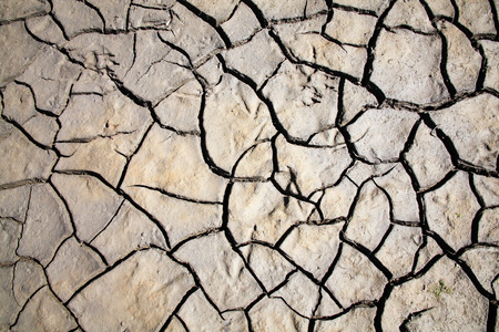 Background of parched cracked mud of a river bed caused by a summer drought