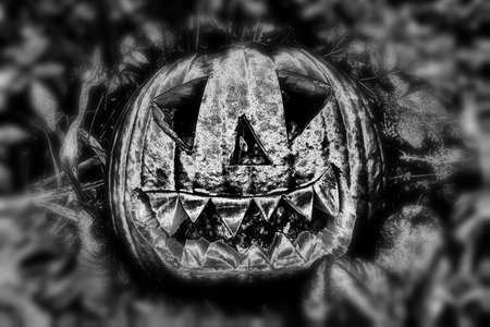Illuminated monochrome spooky black and white Halloween pumpkin lanternの写真素材