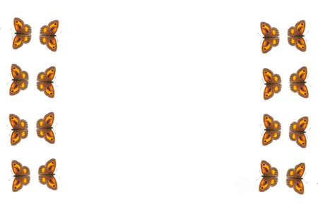 Gatekeeper Butterfly border frame background (Pyronia tithonus) commonly known as Hedge Brown cut out and isolated on a white backdrop with copy space, stock photo imageの写真素材