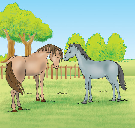 two horsesの写真素材