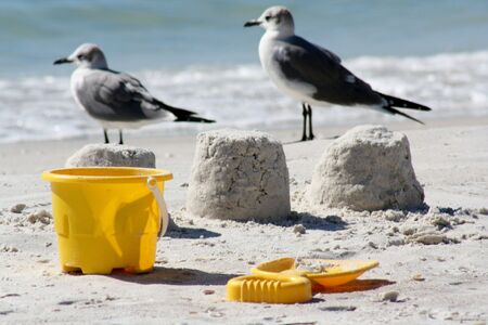 Sandcastles, seagulls and bucket and spaceの写真素材