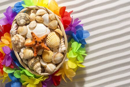 Basket of seashells, sand