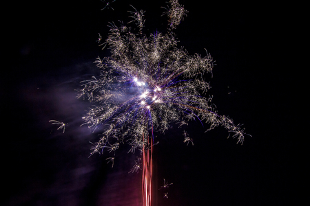 summer night under the night skyの写真素材