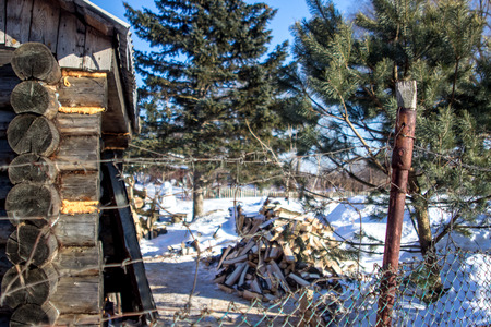 Unusual winter landscape in the russian village with a part of a wooden house, firewood, Christmas trees and barbed wireの写真素材