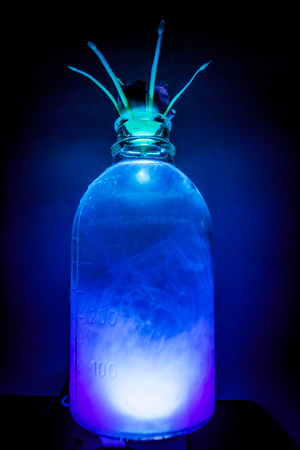 art shot of a transparent vase with a plant with clear water and blue ink in the Studio with lightingの写真素材