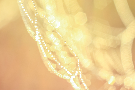 Close-up of abstract drops on a dry plant on a web with variable focus and blurred background in the rays of the rising sunの写真素材
