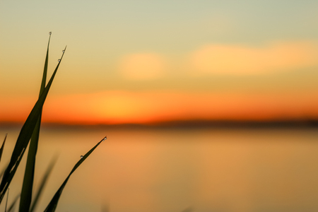 Close-up of abstract dew drops on grass with variable focus and blurred background in the rays of the rising sunの写真素材