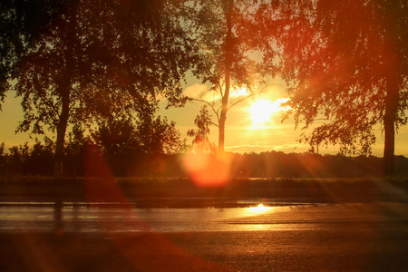 Background blurred background in the light of the sun.の写真素材