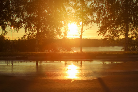 Deep morning dawn with highlights in the orange rays of the summer sun on the road against a grove of trees and a river on a blurred background in the lightの写真素材