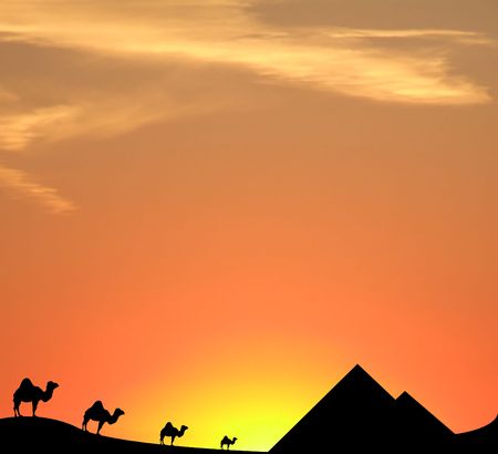 camels, pyramids and sand dunes silhouetted against the egyptian sunset skyの写真素材