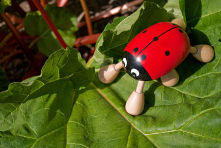 a novelty ladybug massager resting on a giant rhubarb leafの写真素材
