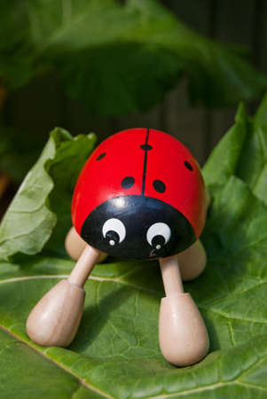 a novelty ladybug massager resting on a giant rhubarb leafの写真素材