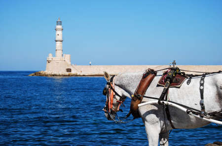 A horse used for the transport of tourists stands in front of the old venetian lighthouse situated at Charnia on the greek island of crete.の写真素材