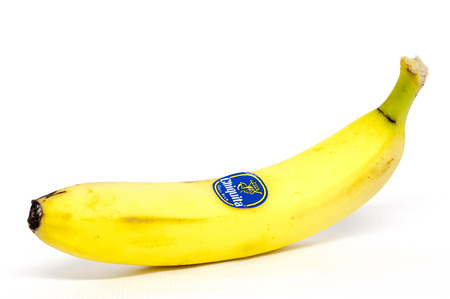 HELSINGBORG, SWEDEN - DECEMBER 29, 2013  A single Chiquita banana isolated against a white background  Chiquita Brands International Inc  is an American producer and distributor of bananas and other produce, under a variety of subsidiary brand names, collのeditorial素材