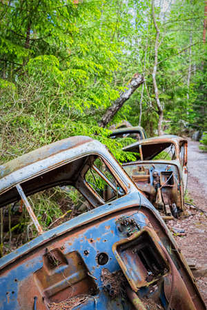 KIRKOE MOSSE, SWEDEN - 30 MAY 2020: A car graveyard situated in a forest at Kirkoe Mosse, Sweden.