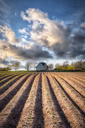 A newly ploughed field in Sweden ready for sowing.の写真素材