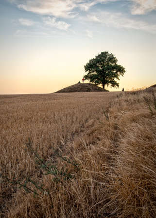 Ronneberga slopes is a collection of burial mounds 5 km east of Landskrona in SkÃ¥ne, Sweden.