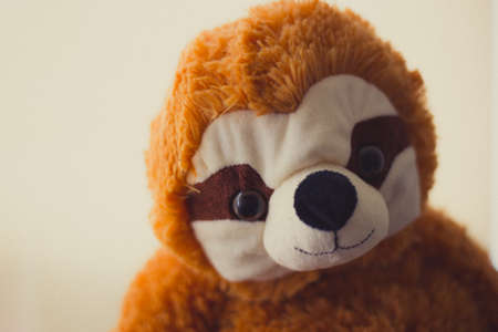 Stuffed Sloth Face Close Up