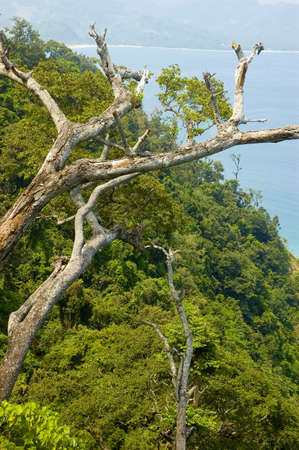 Unspoilt beach in Aurora Province, Philippinesの写真素材