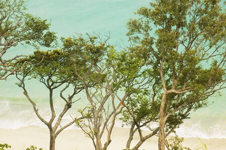 Unspoilt beach in Aurora Province, Philippinesの写真素材