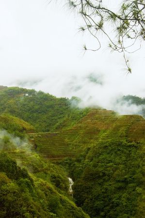 Afternoon rain in Banaue Rice Terracesの写真素材