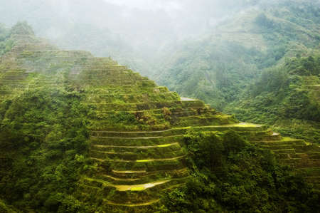 Afternoon rain in Banaue Rice Terracesの写真素材
