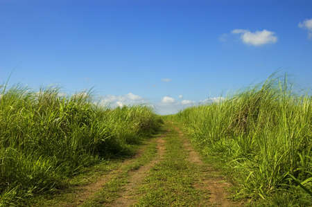 Country dirt road, Philippinesの写真素材
