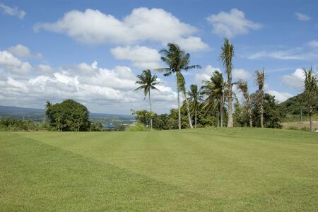 Coconuts, mountains, and grassの写真素材