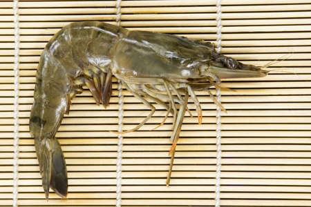 Shrimp from the wet market, Philippinesの写真素材